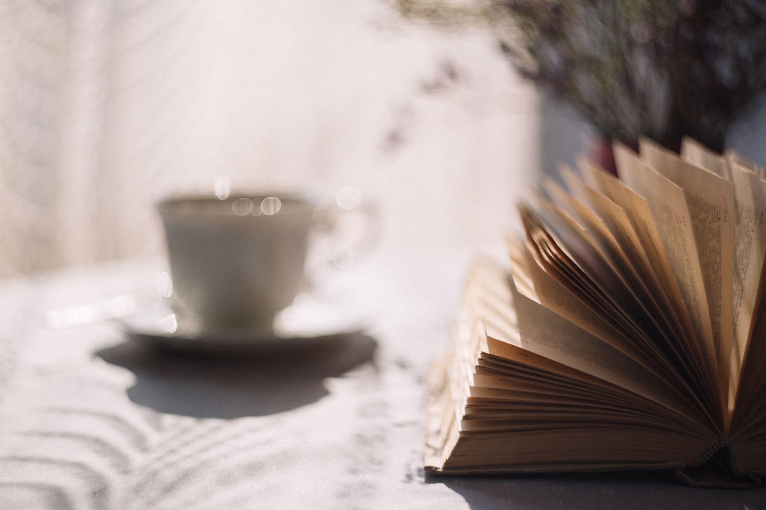 Novels and Warm Drinks