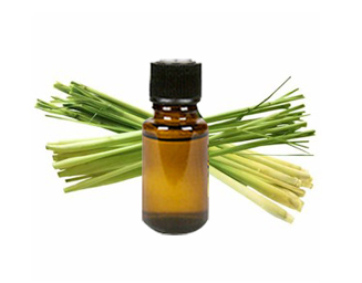 Lemongrass Essential Oil - 1 Fluid Oz