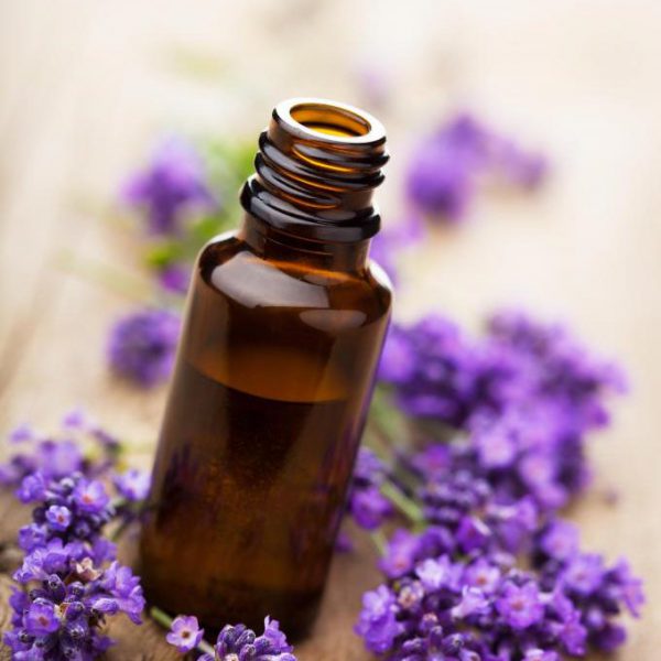 Lavender Essential Oil - 1 Fluid Oz