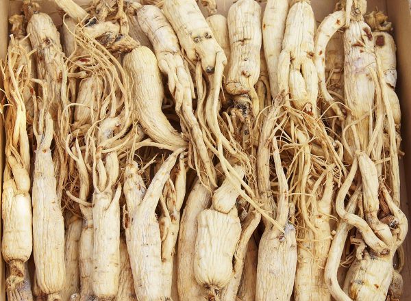 1 oz Ginseng extract panaxoside 80%